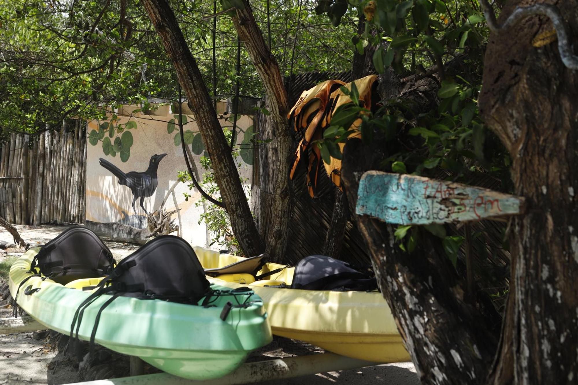 Sal Si Puedes Hotel Tintipan Island Bagian luar foto